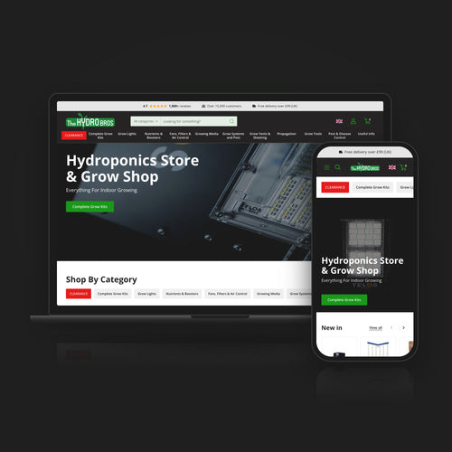 Shopify Store Build: desktop and mobile view